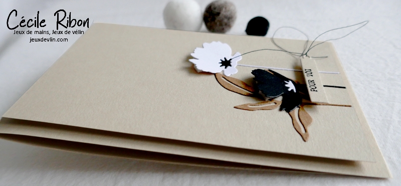 Carte CC&amp;S456 - P1300509