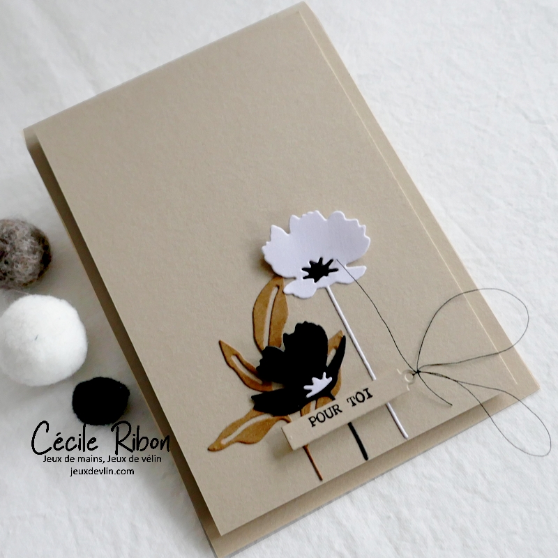 Carte CC&amp;S456 - P1300523