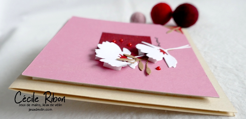 Carte CTD678 - P1300470