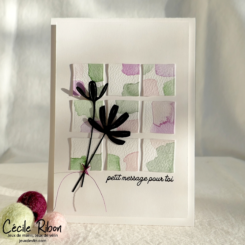 Carte CTD681 - P1310068