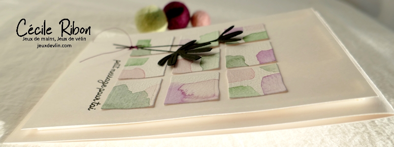 Carte CTD681 - P1310077