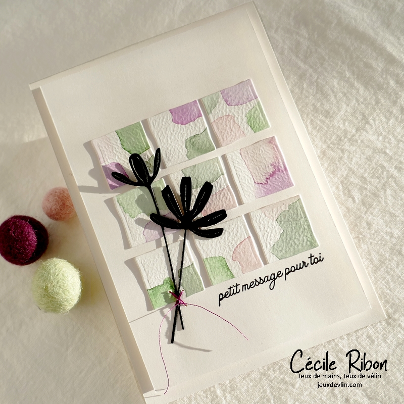 Carte CTD681 - P1310081