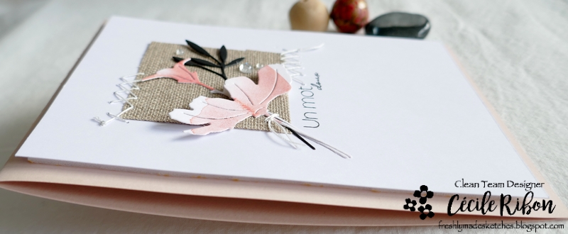 Carte FMS524 - P1300915