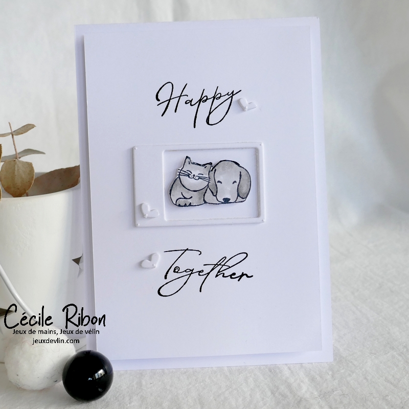 Carte JUGS621 - P1310023