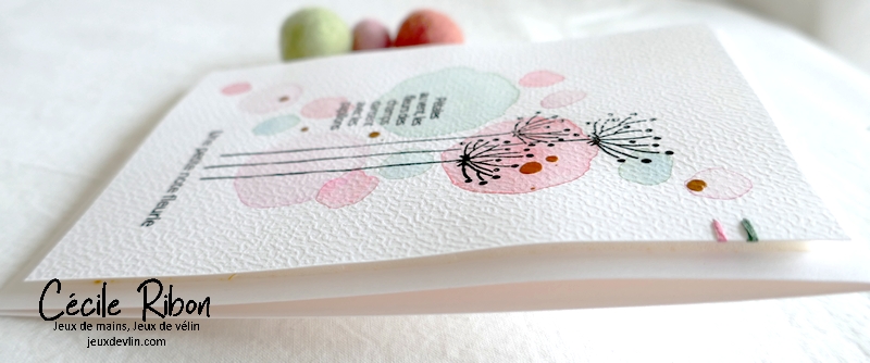 Carte CC&S459 - P1310121