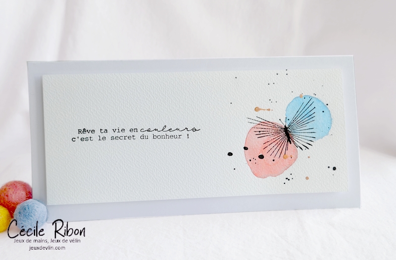 Carte CC&S462 - P1310772