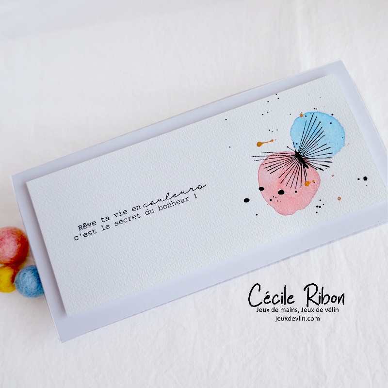 Carte CC&S462 - P1310780