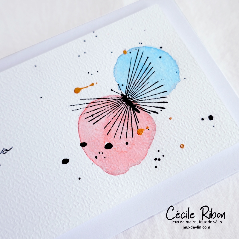 Carte CC&S462 - P1310781