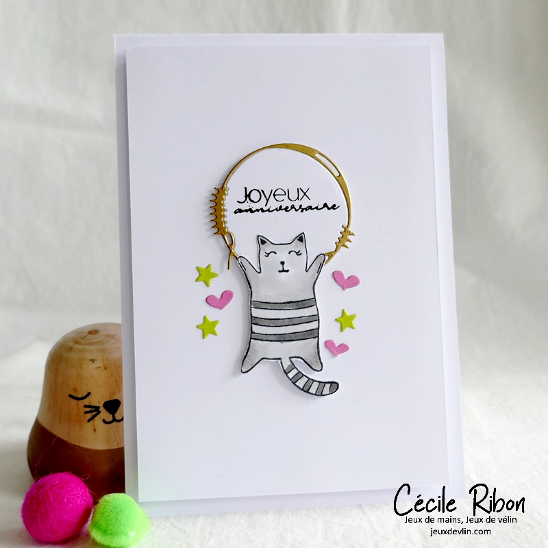 Carte CTD683 - P1310484