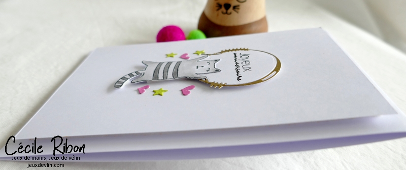 Carte CTD683 - P1310485