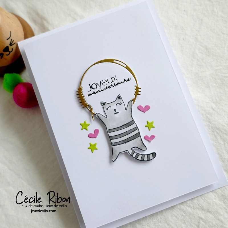 Carte CTD683 - P1310492