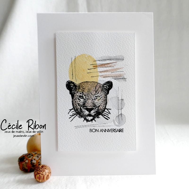 Carte CTD684 - P1310625