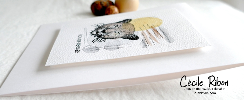 Carte CTD684 - P1310629