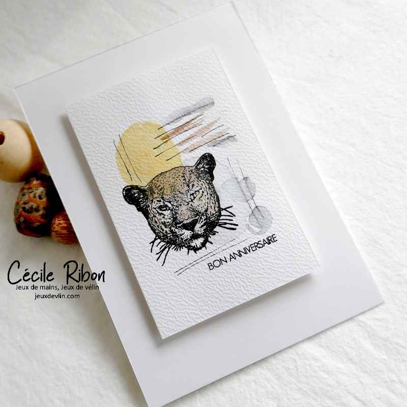 Carte CTD684 - P1310639