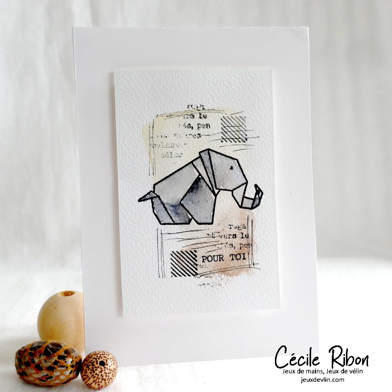 Carte CTD684 - P1310646