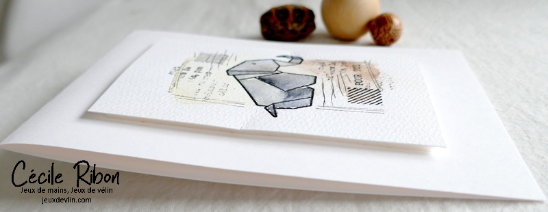 Carte CTD684 - P1310650