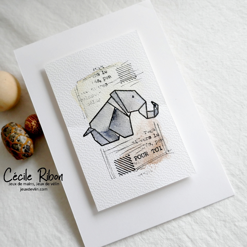 Carte CTD684 - P1310656