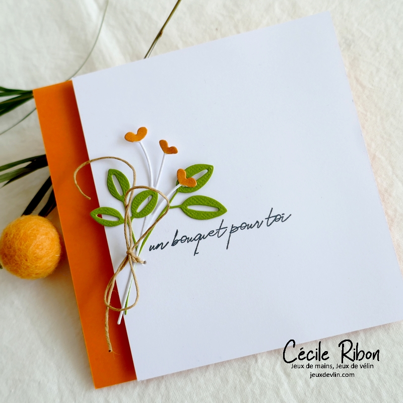 Carte CTD685 - P1310962