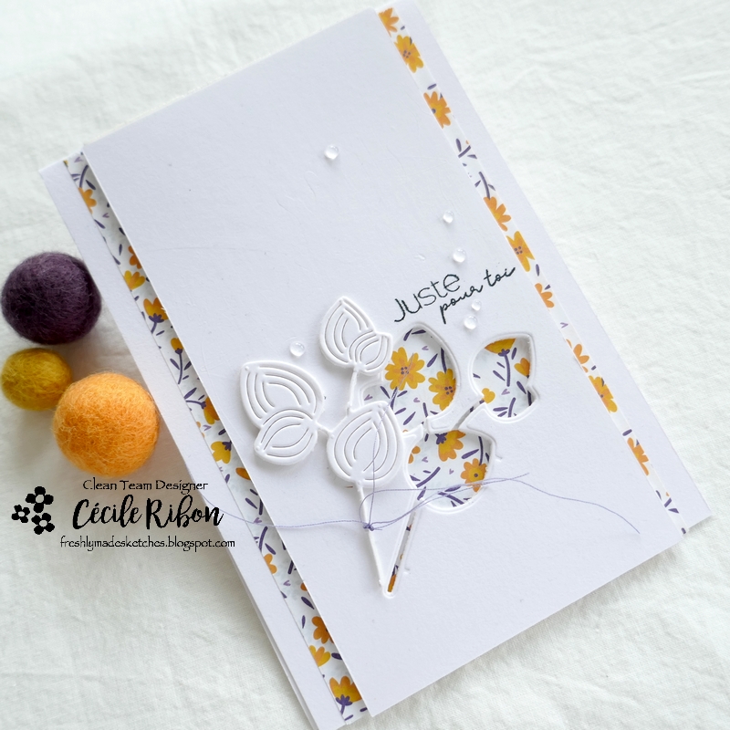 Carte FMS525 - P1310161