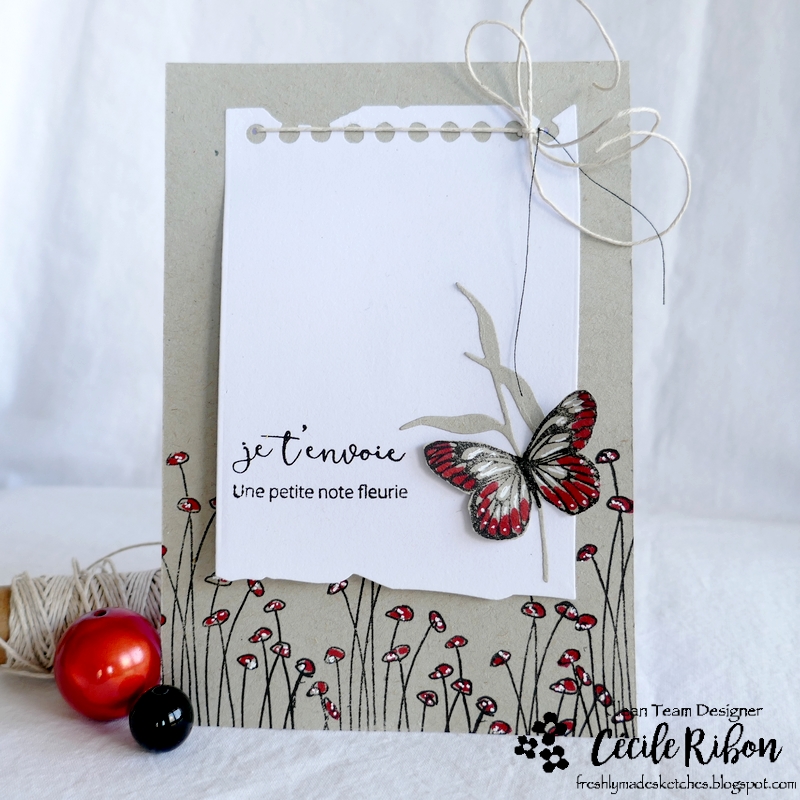 Carte FMS526 - P1310409