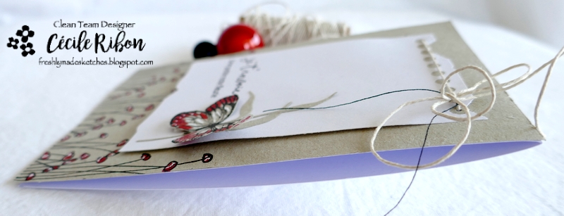 Carte FMS526 - P1310414