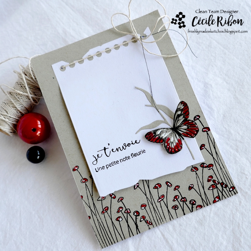 Carte FMS526 - P1310420