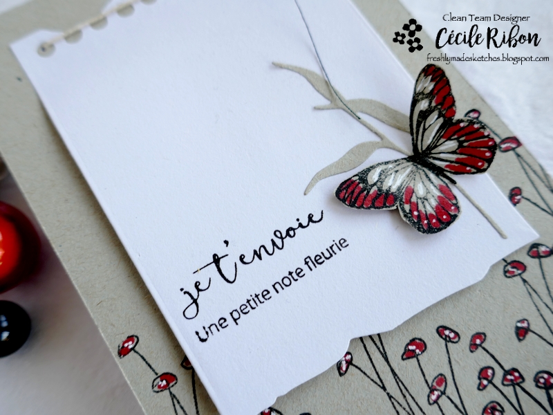 Carte FMS526 - P1310422