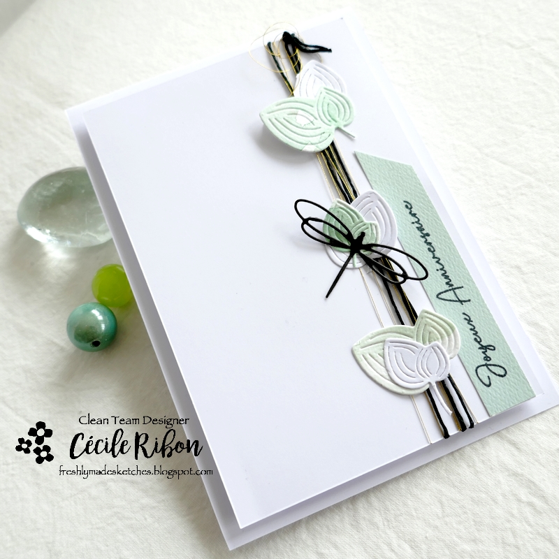 carte FMS527 - P1310615