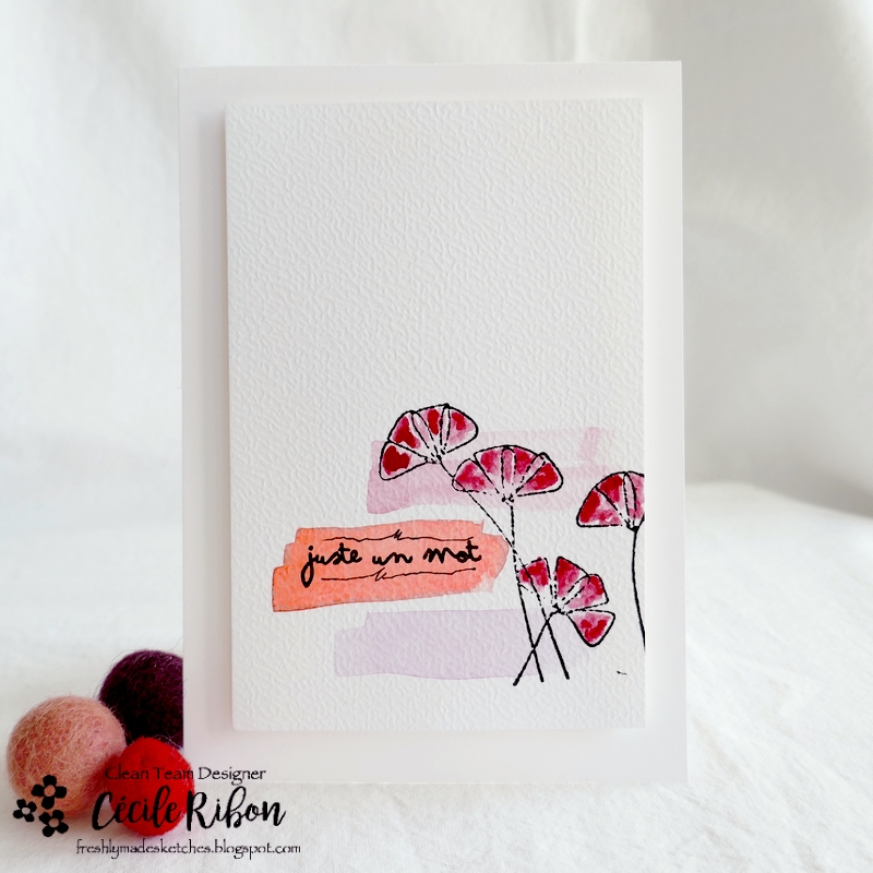 Carte FMS528 - P1310787