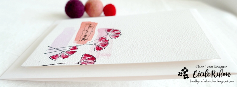 Carte FMS528 - P1310794