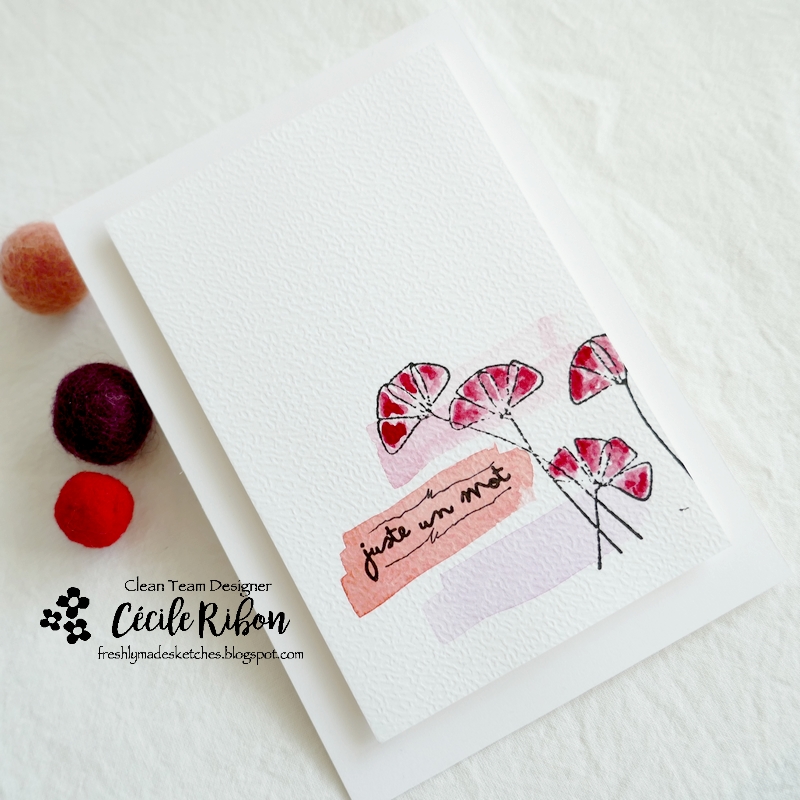 Carte FMS528 - P1310800