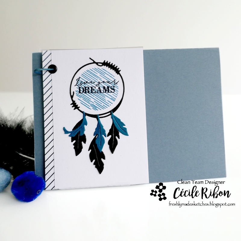 Carte FMS529 - P1310994