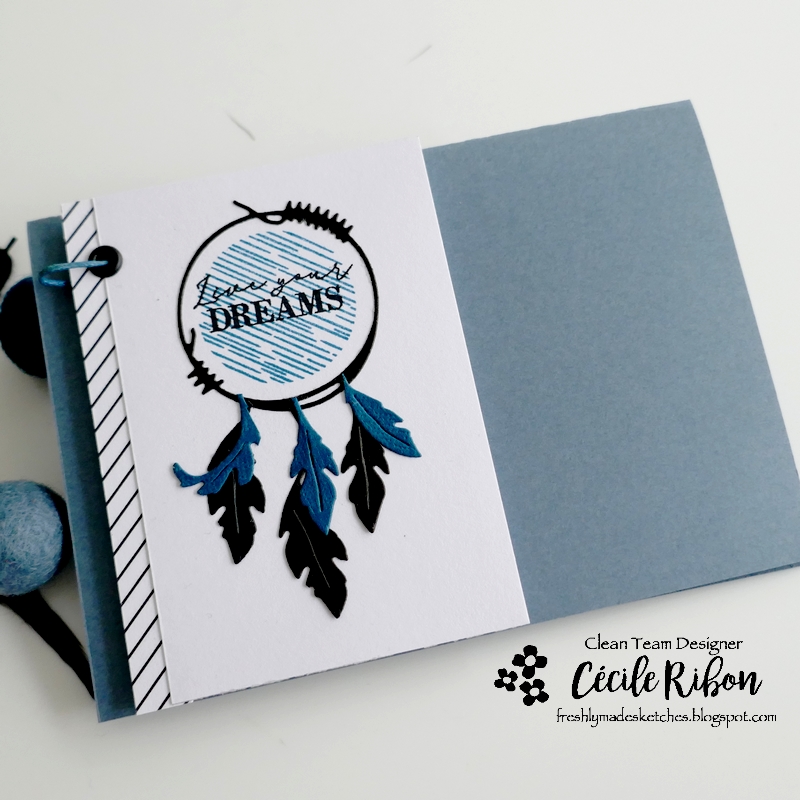 Carte FMS529 - P1320011