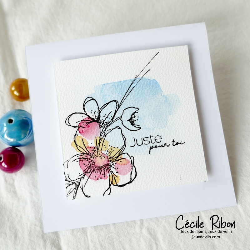 Carte JUGS625 - P1310892