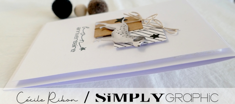 Carte SG10 - P1310250