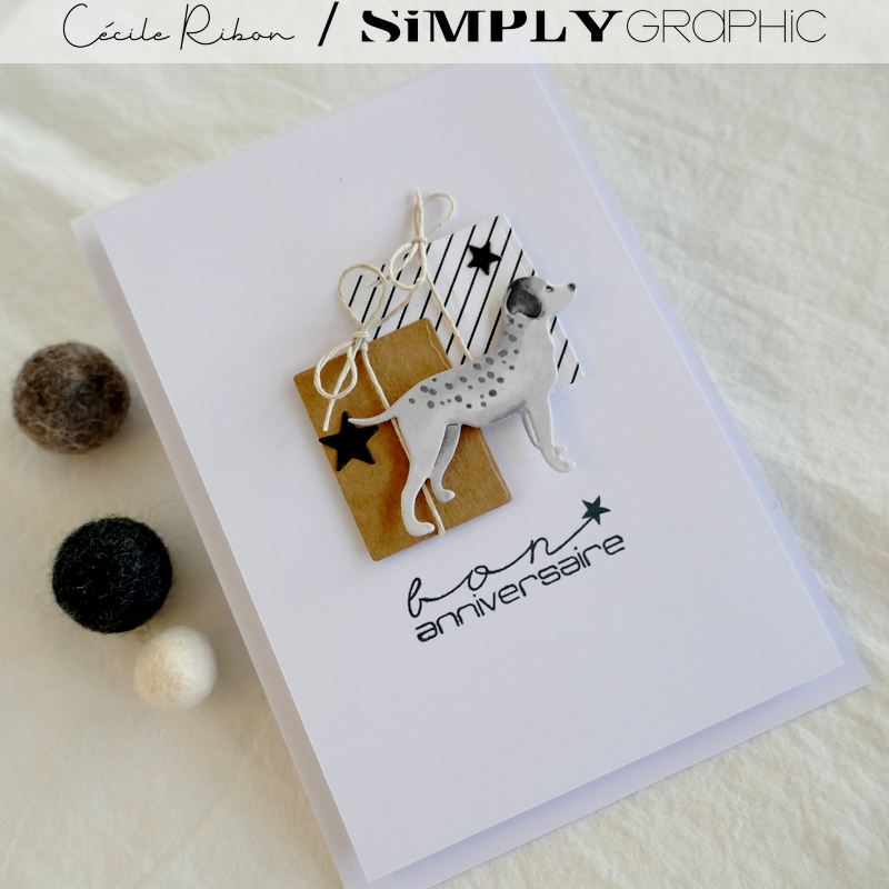 Carte SG10 - P1310258