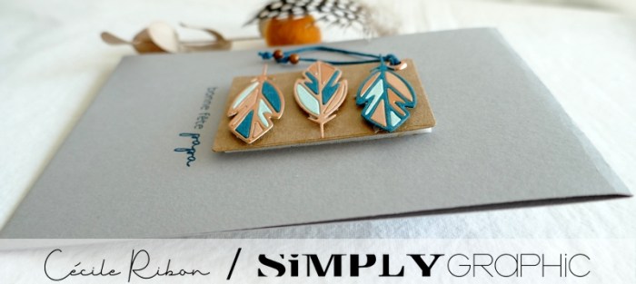 Carte SG10 - P1310434