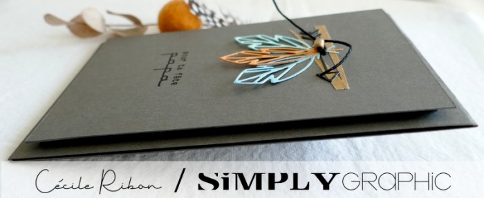 Carte SG10 - P1310459