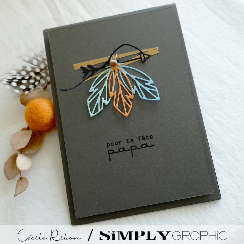 Carte SG10 - P1310465