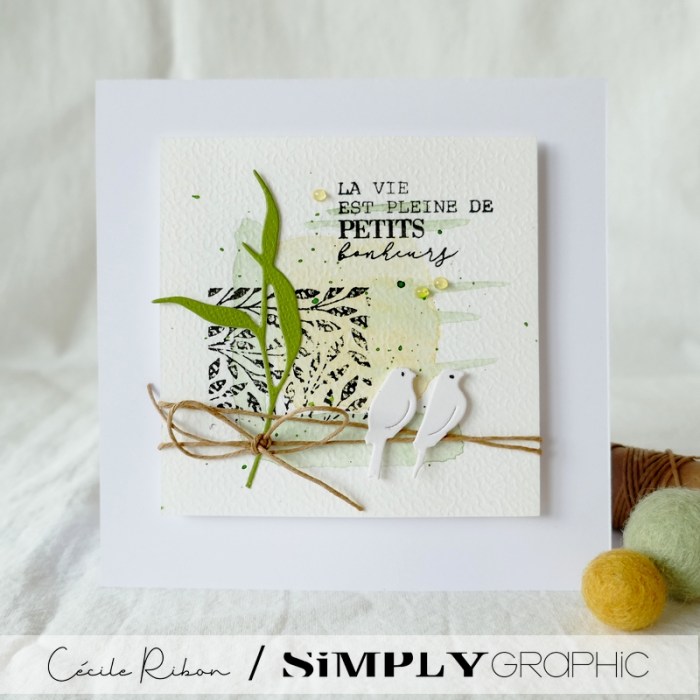 Carte SGx01 - P1310856