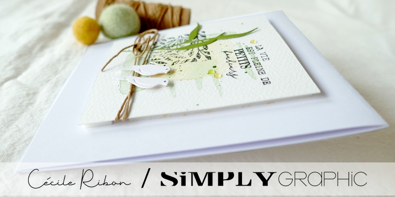 Carte SGx01 - P1310861