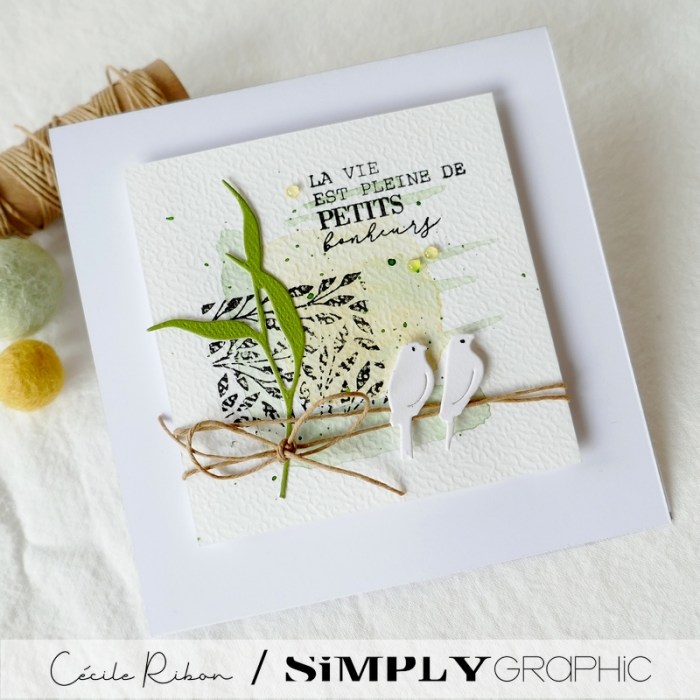 Carte SGx01 - P1310866