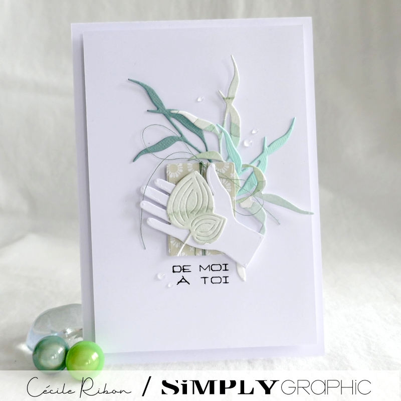 Carte SGxx01 - P1310526