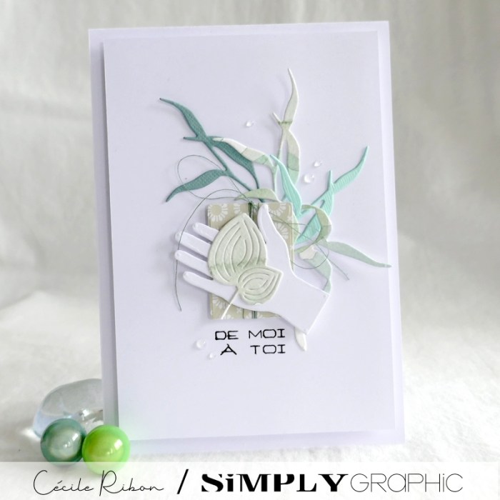 Carte SGxx01 - P1310526