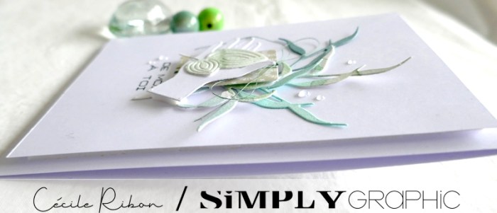 Carte SGxx01 - P1310535