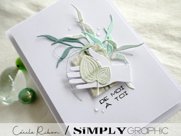 Carte SGxx01 - P1310547