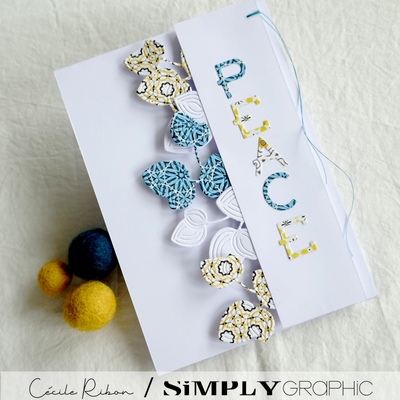 Carte Ukraine01 - P1310235