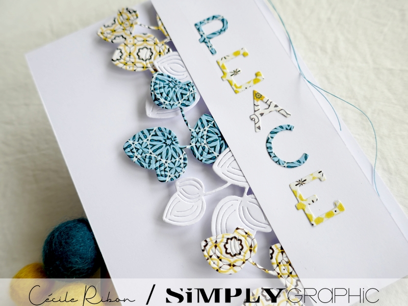 Carte Ukraine01 - P1310236