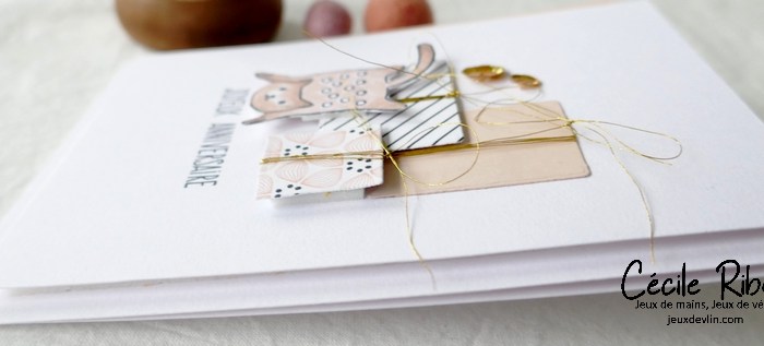 Addicted to CAS #217 – Animal