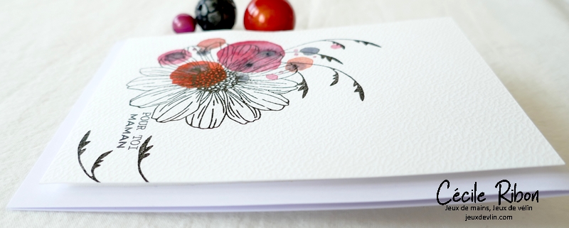 Carte CBBB68 - P1320277